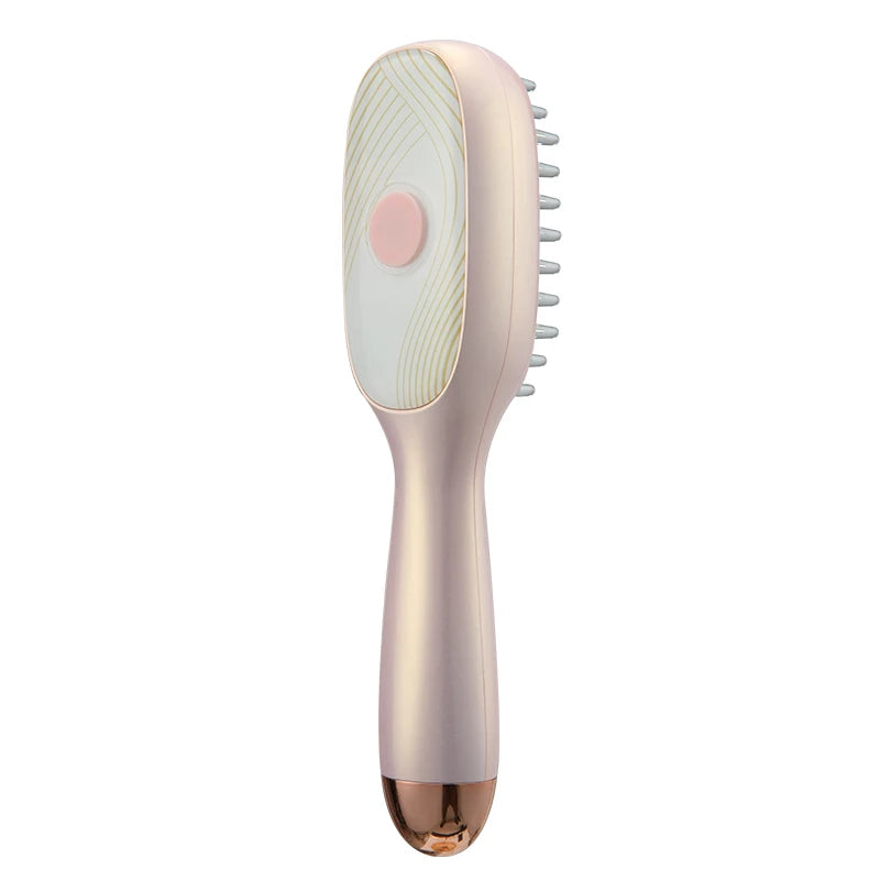 Brosse Massante Cuir Chevelu Croissance Anti-Chute