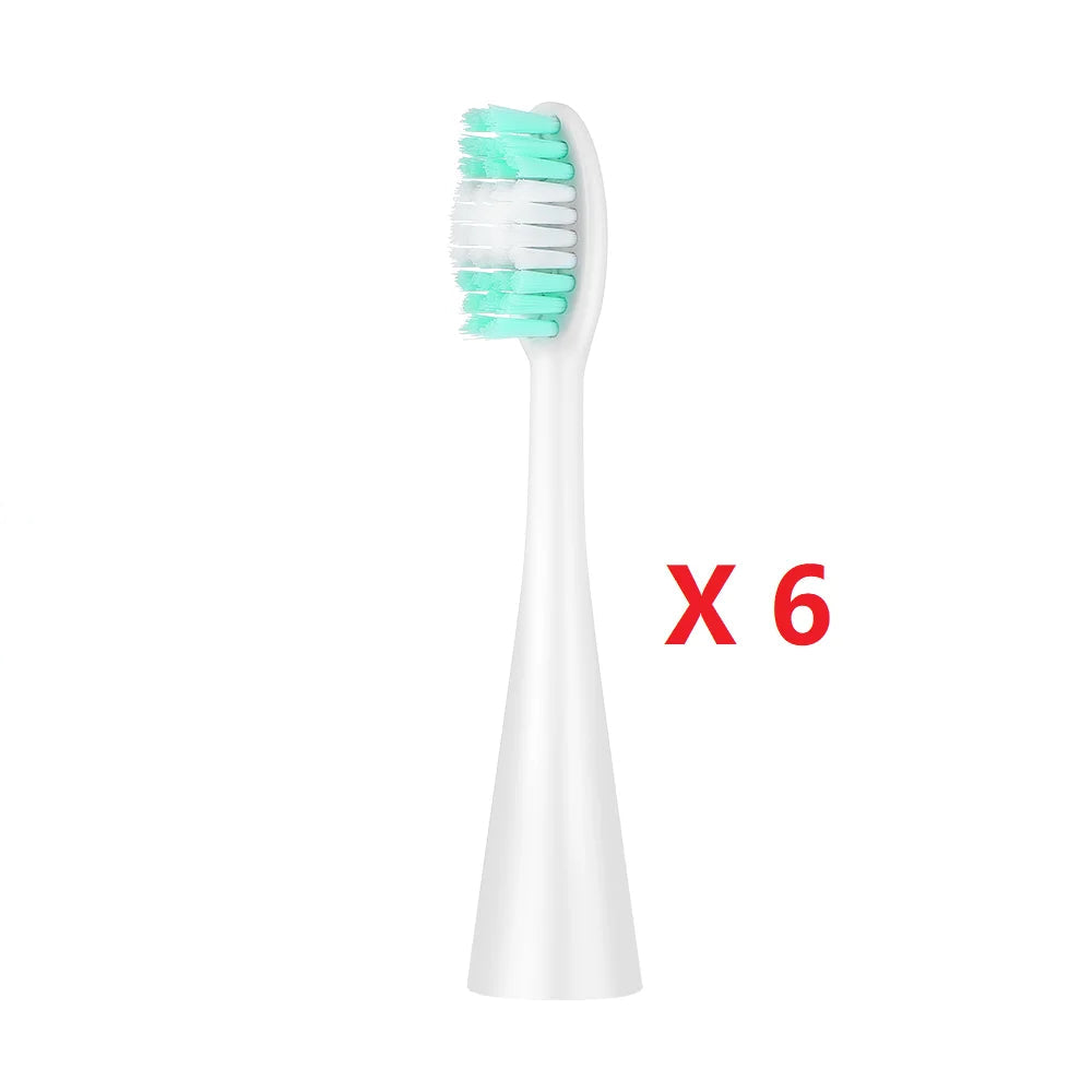 Détartreur Brosse à dent Électrique 2 en 1