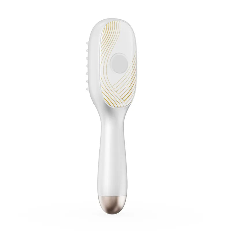 Brosse Massante Cuir Chevelu Croissance Anti-Chute