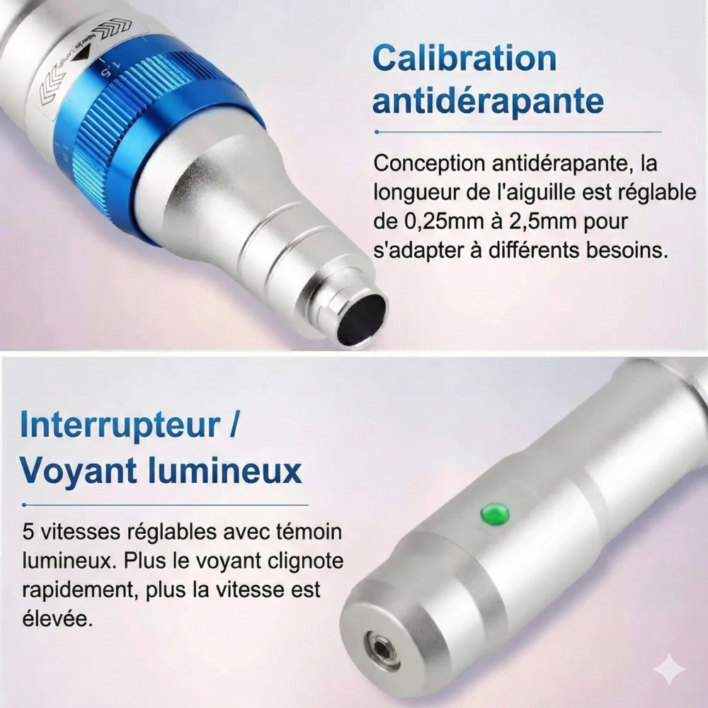 Stylo Microneedling Professionnel