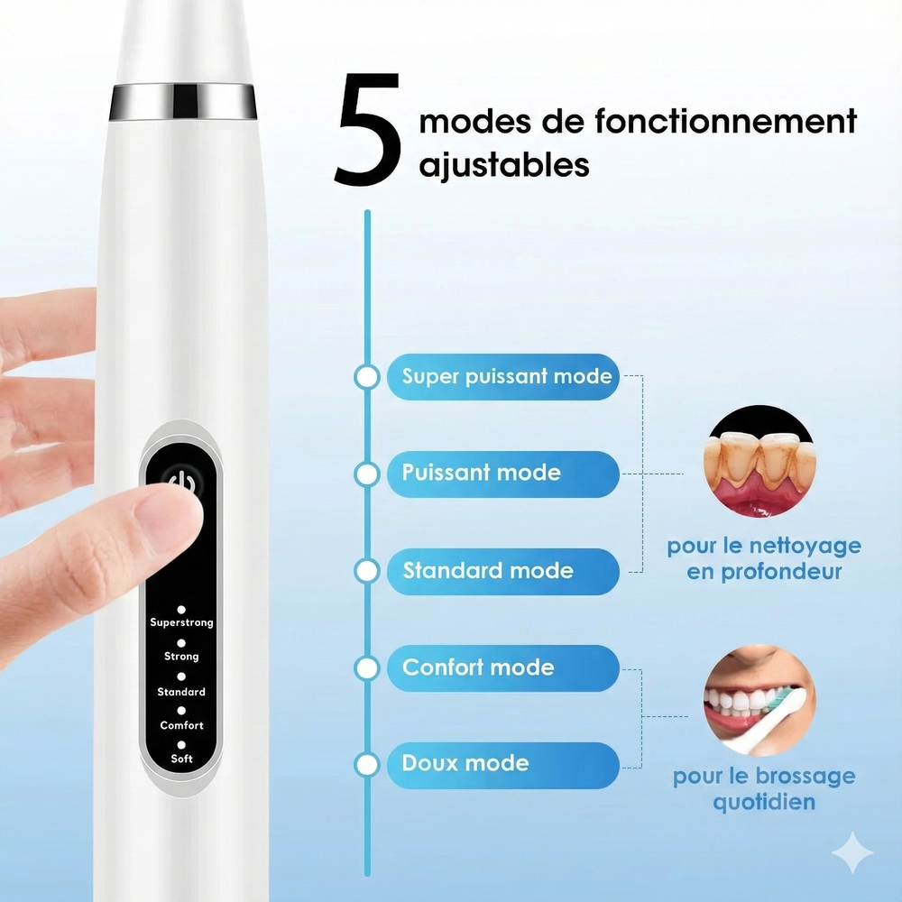 Détartreur Brosse à dent Électrique 2 en 1