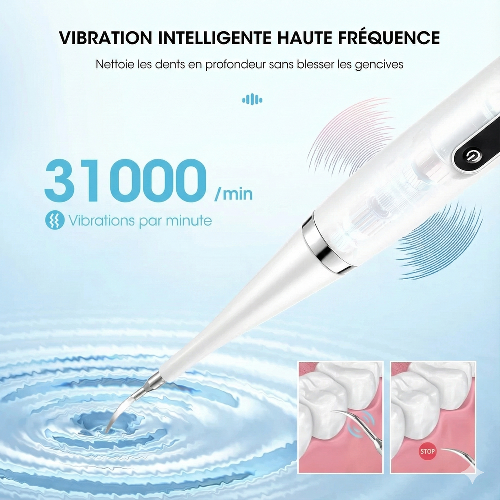 Détartreur Brosse à dent Électrique 2 en 1